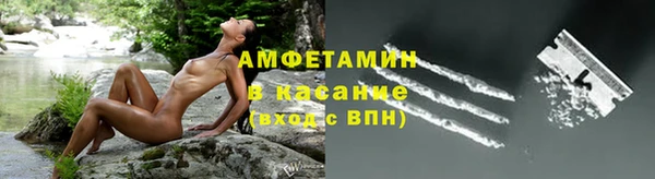 твердый Алексеевка