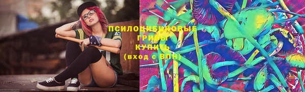 прущая мука Алзамай