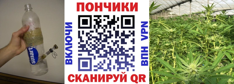 Бошки Шишки индика  Салехард 